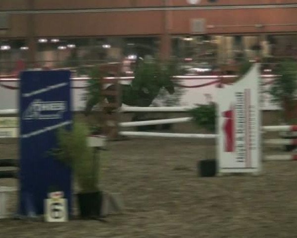 Hallenturnier beim RFV Südlohn-Oeding e.V. 2011