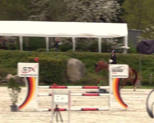 Reitturnier Pietzpuhl 2024