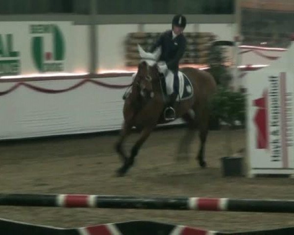 Hallenturnier beim RFV Südlohn-Oeding e.V. 2011