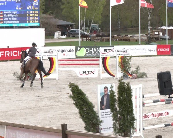 Reitturnier Westergellersen 2024