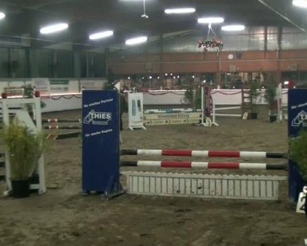 Hallenturnier beim RFV Südlohn-Oeding e.V. 2011