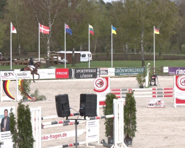 Reitturnier Westergellersen 2024