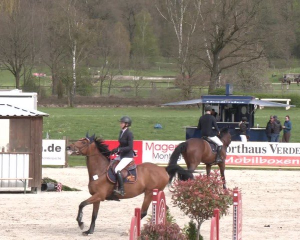Reitturnier Westergellersen 2024