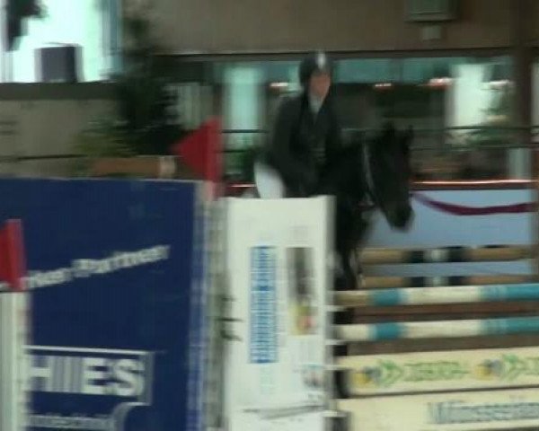 Hallenturnier beim RFV Südlohn-Oeding e.V. 2011