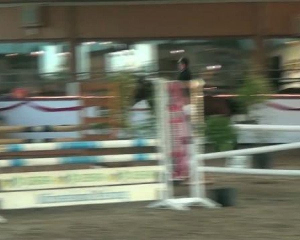 Hallenturnier beim RFV Südlohn-Oeding e.V. 2011