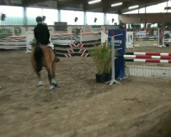 Hallenturnier beim RFV Südlohn-Oeding e.V. 2011