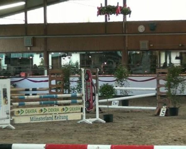 Hallenturnier beim RFV Südlohn-Oeding e.V. 2011