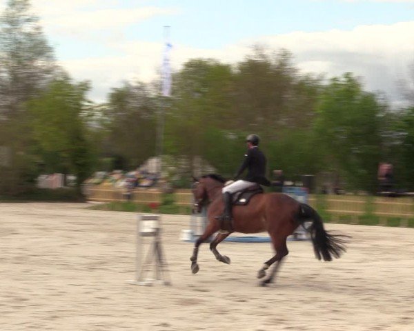 Reitturnier Pietzpuhl 2024