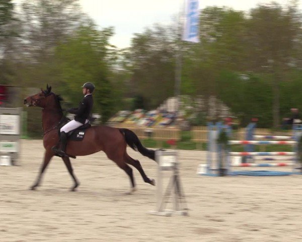 Reitturnier Pietzpuhl 2024