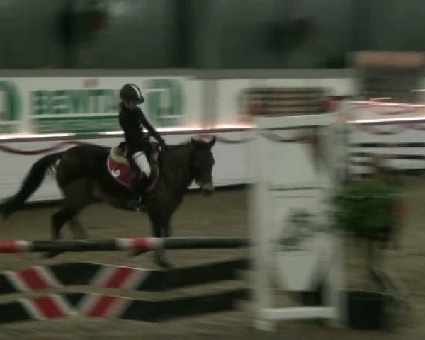 Hallenturnier beim RFV Südlohn-Oeding e.V. 2011