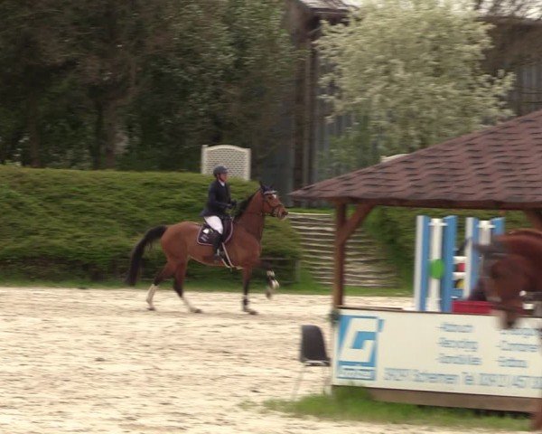 Reitturnier Pietzpuhl 2024