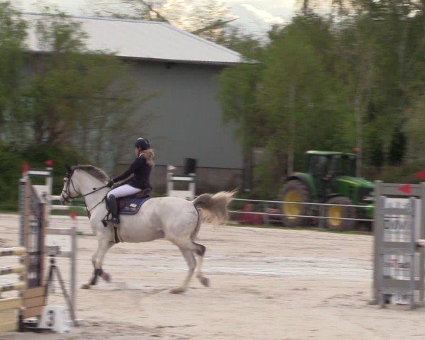 Reitturnier Pietzpuhl 2024