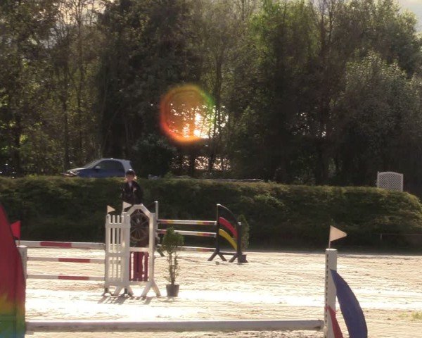 Reitturnier Pietzpuhl 2024