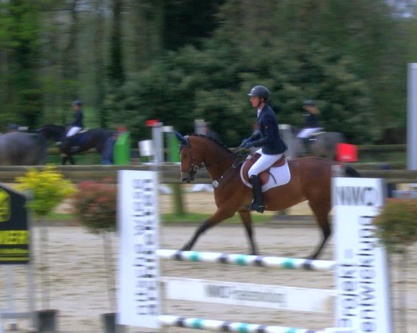Reitturnier Rhede 2024