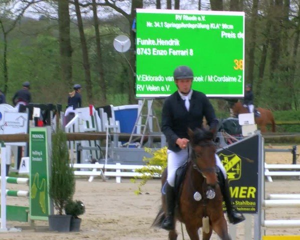 Reitturnier Rhede 2024