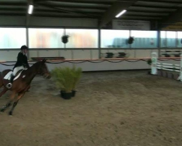 Hallenturnier beim RFV Südlohn-Oeding e.V. 2011