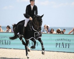 Springpferd Katriona (KWPN (Niederländisches Warmblut), 2015, von Kannan)