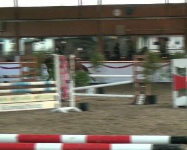 Hallenturnier beim RFV Südlohn-Oeding e.V. 2011