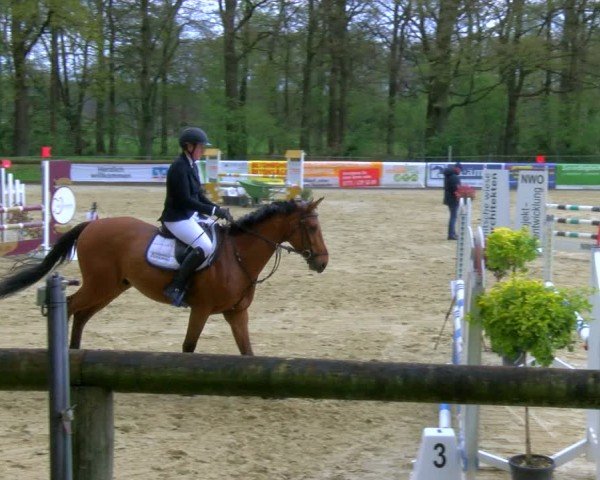 Reitturnier Rhede 2024