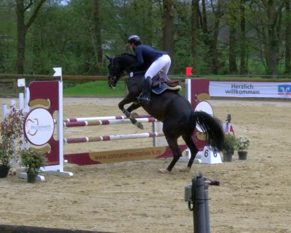 Reitturnier Rhede 2024