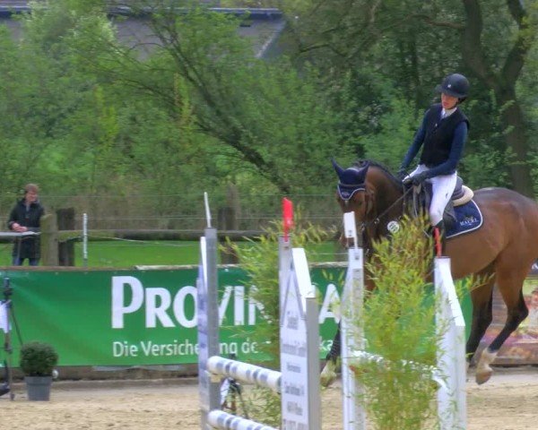 Reitturnier Rhede 2024