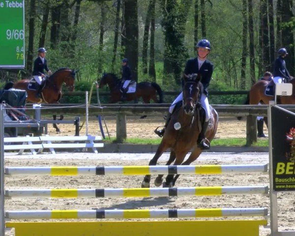 Reitturnier Rhede 2024