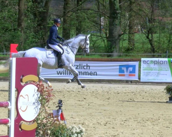 Reitturnier Rhede 2024