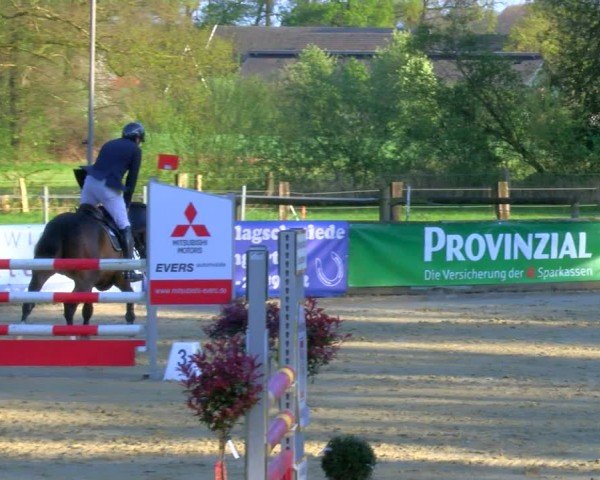Reitturnier Rhede 2024