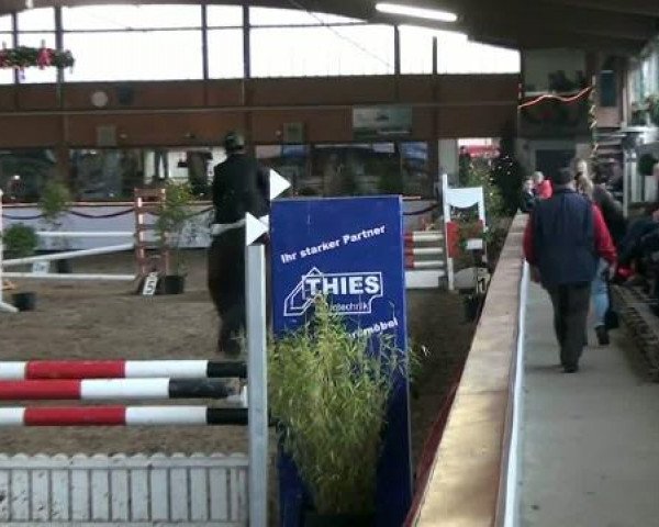 Hallenturnier beim RFV Südlohn-Oeding e.V. 2011
