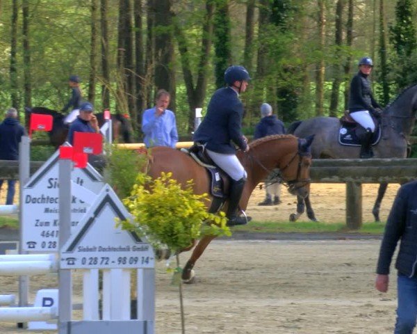 Reitturnier Rhede 2024