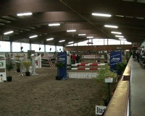 Hallenturnier beim RFV Südlohn-Oeding e.V. 2011