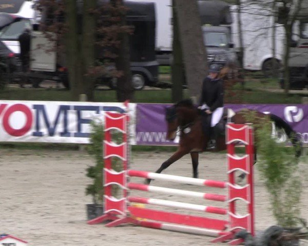 Reitturnier Westergellersen 2024