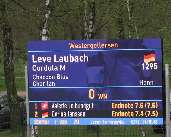 Reitturnier Westergellersen 2024