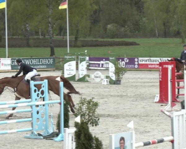 Reitturnier Westergellersen 2024