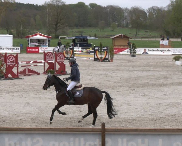 Reitturnier Westergellersen 2024