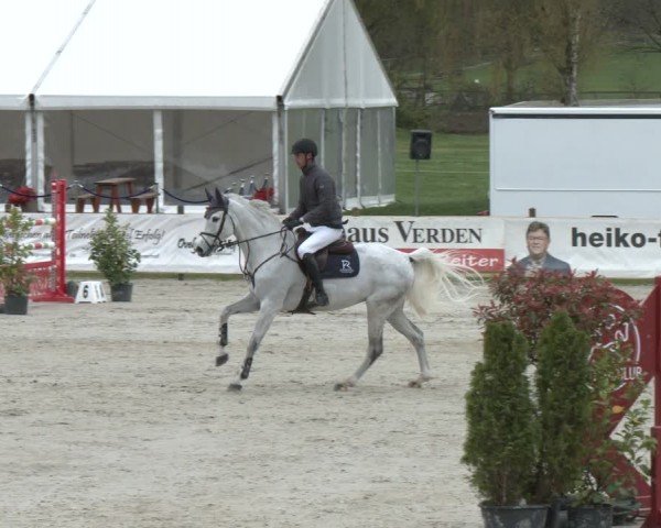 Reitturnier Westergellersen 2024