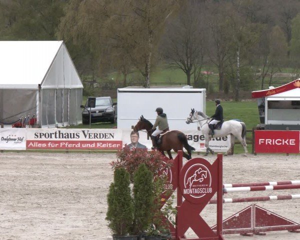 Reitturnier Westergellersen 2024