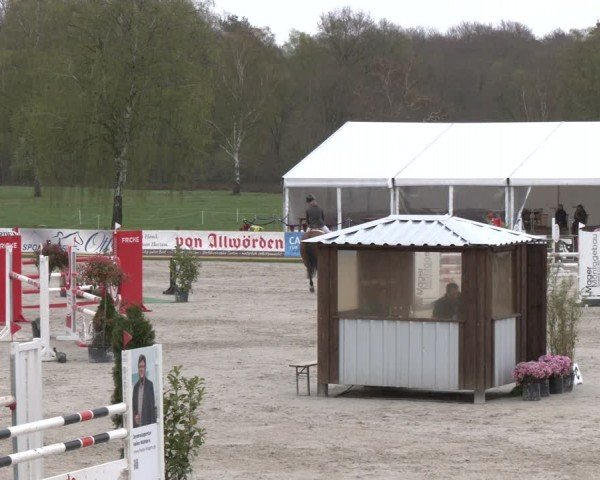 Reitturnier Westergellersen 2024