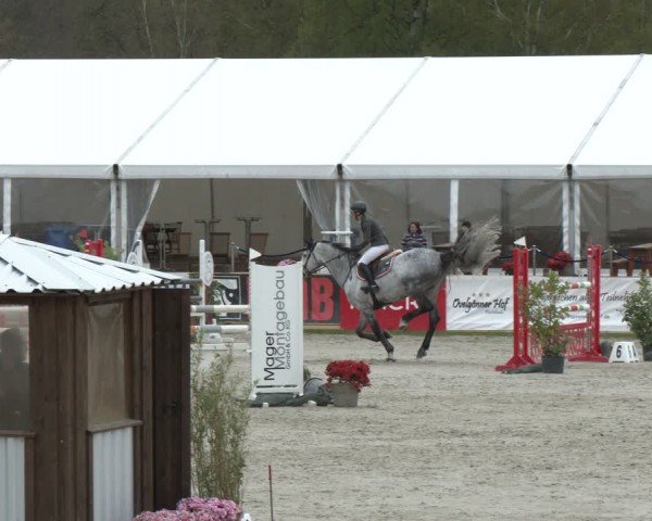 Reitturnier Westergellersen 2024
