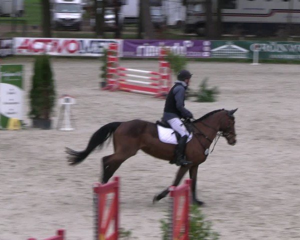 Reitturnier Westergellersen 2024