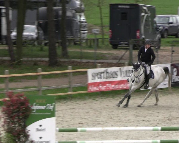 Reitturnier Westergellersen 2024