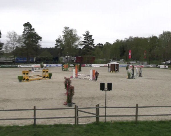 Reitturnier Westergellersen 2024