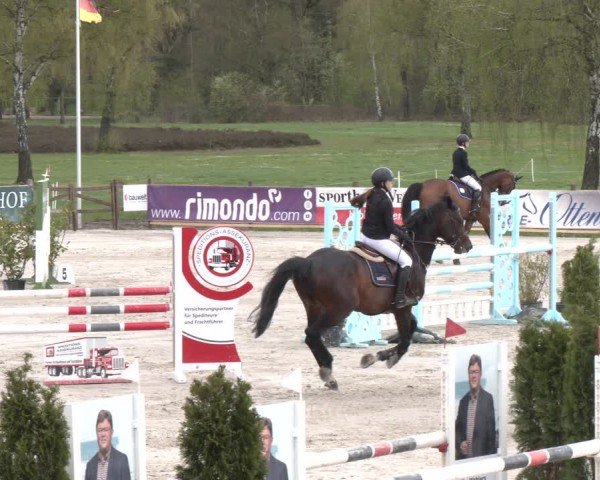 Reitturnier Westergellersen 2024