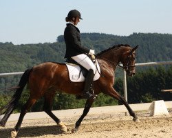 dressage horse Champions Velvet Lady (German Riding Pony, 2007, from FS Champion de Luxe)