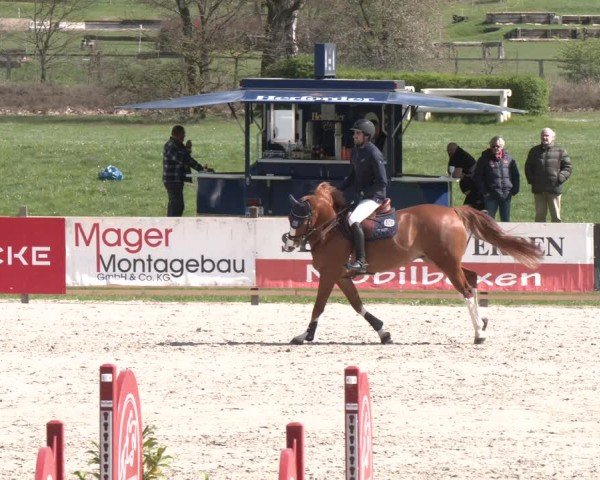 Reitturnier Westergellersen 2024