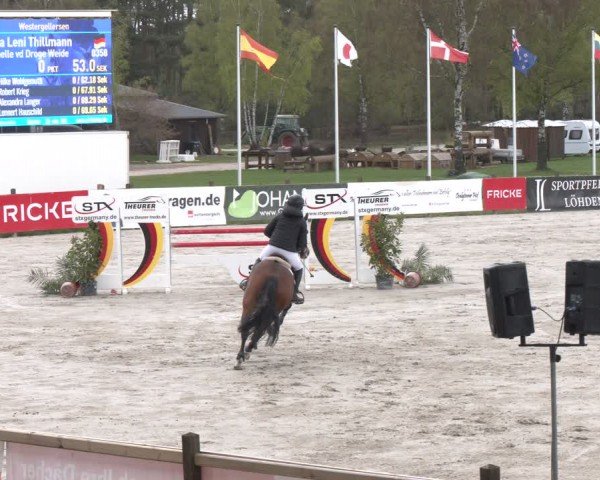 Reitturnier Westergellersen 2024