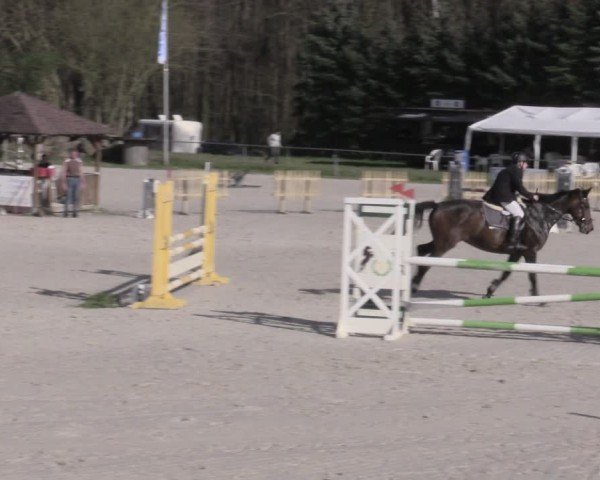 Reitturnier Pietzpuhl 2024