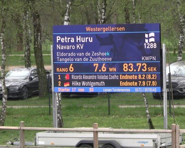 Reitturnier Westergellersen 2024
