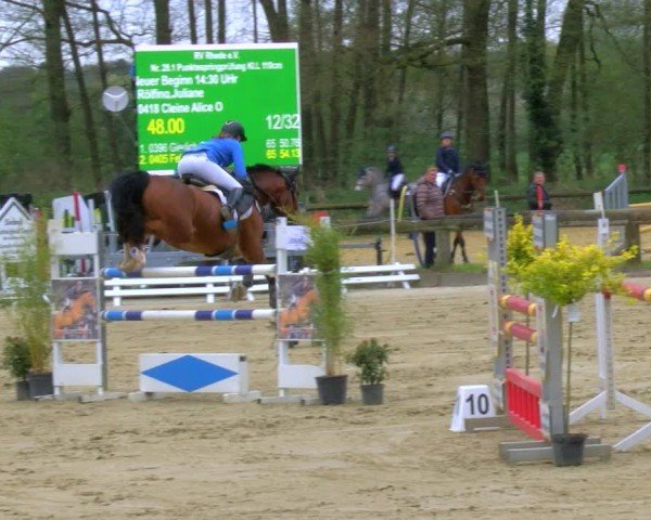 Reitturnier Rhede 2024