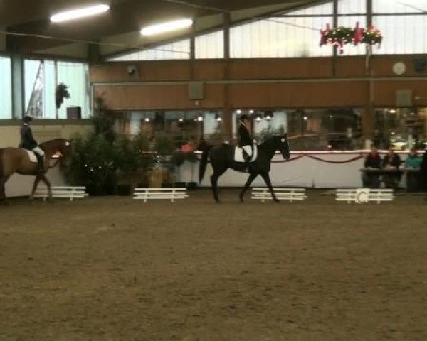 Hallenturnier beim RFV Südlohn-Oeding e.V. 2011